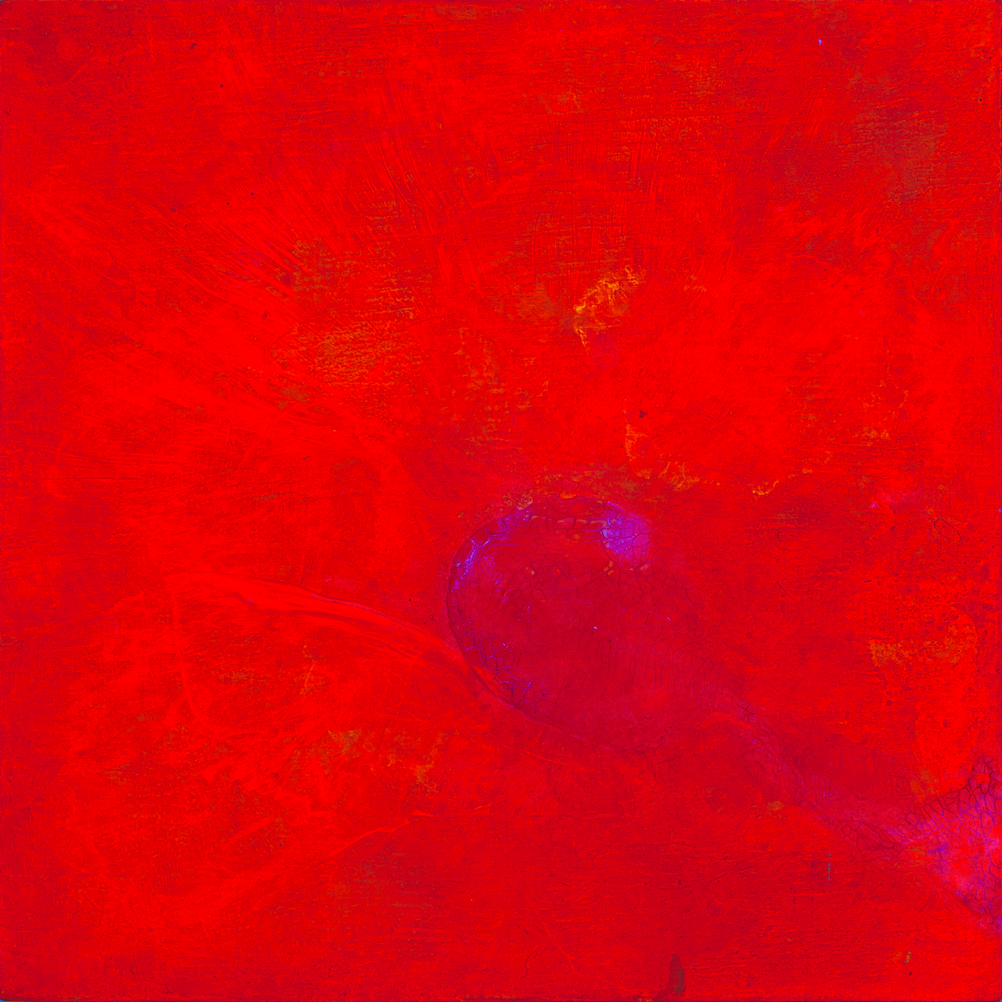 Magnes 2023-06-09_K_20