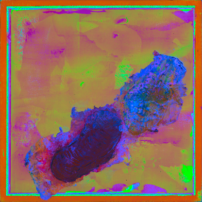 Magnes 2023-06-10_K_08