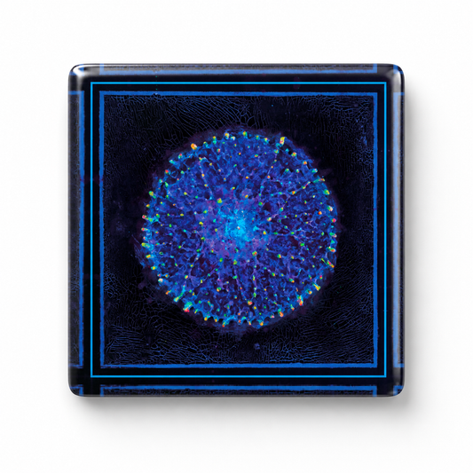Metamistic Magnet #13
